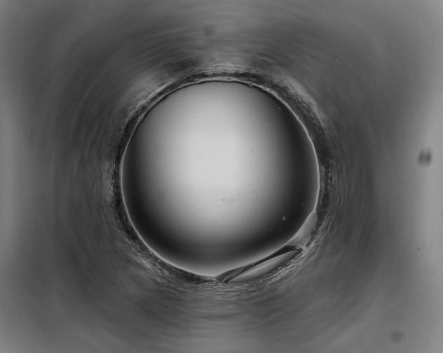 X0000098171217200804241148