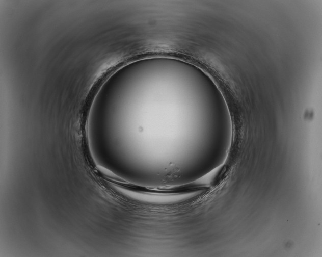 X0000098171218200804241148