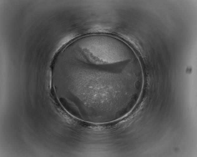 X0000098171219200804241148