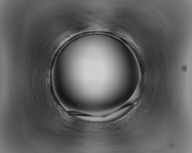 X0000098171220200804241148