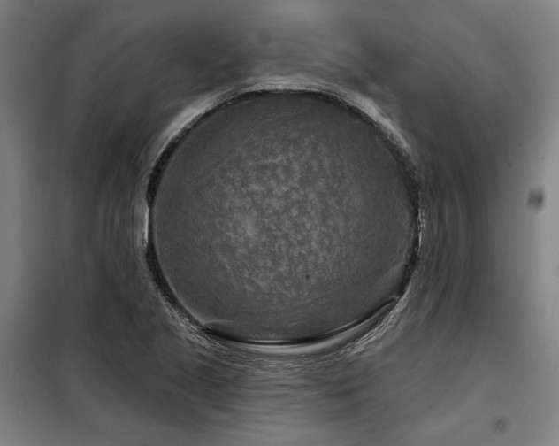 X0000098171221200804241148