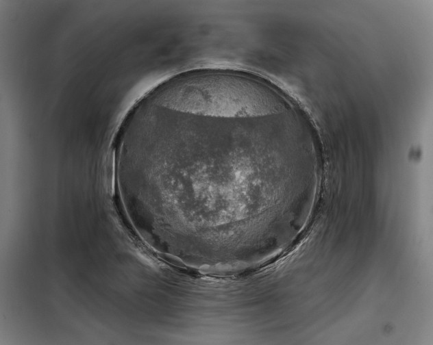 X0000098171223200804241148