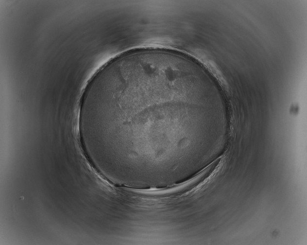 X0000098171224200804241148