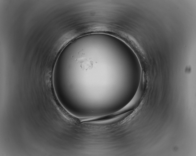 X0000098171225200804241148