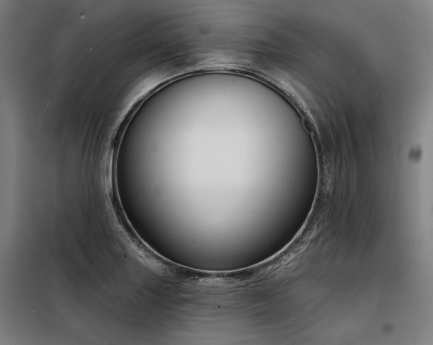 X0000098171227200804241148
