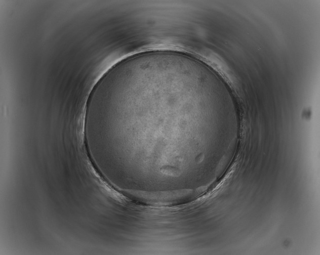 X0000098171228200804241148
