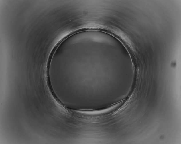X0000098171229200804241148