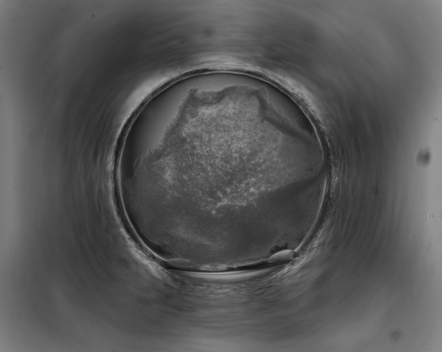 X0000098171231200804241148