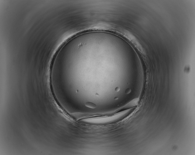 X0000098171232200804241148