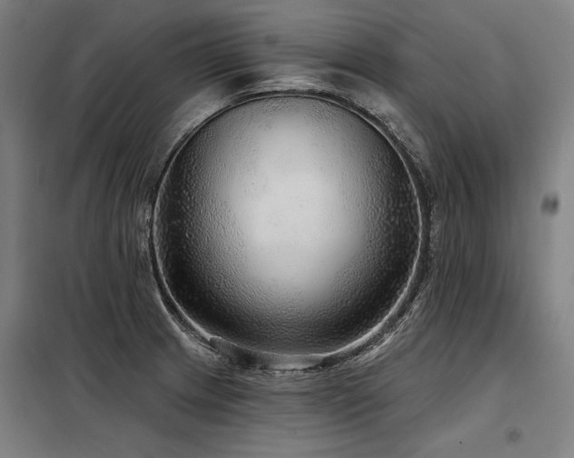 X0000098171233200804241148