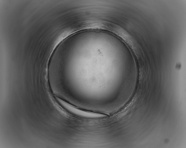 X0000098171234200804241148