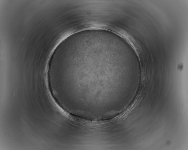 X0000098171235200804241148