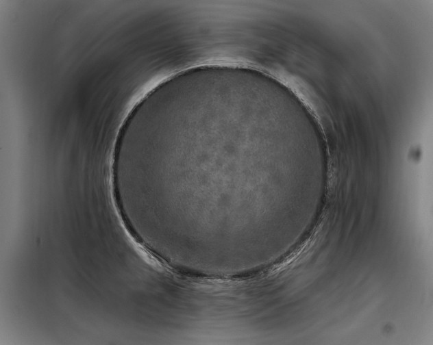 X0000098171237200804241148