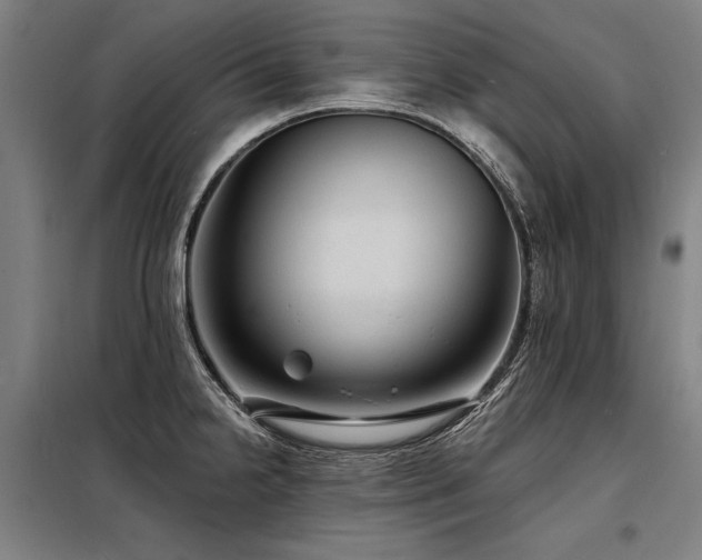 X0000098171238200804241148