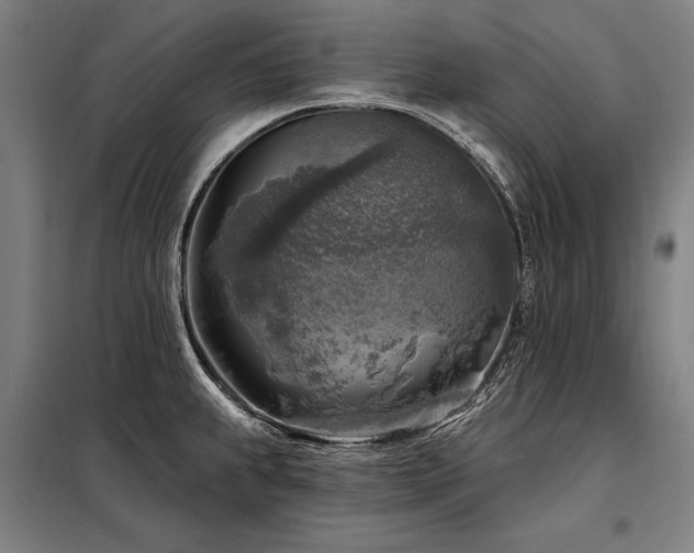 X0000098171239200804241148