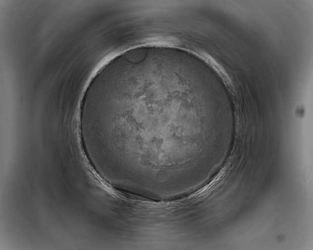 X0000098171240200804241148