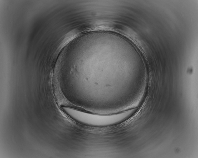 X0000098171241200804241148