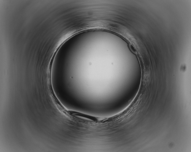 X0000098171242200804241148