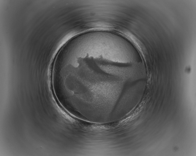X0000098171243200804241148