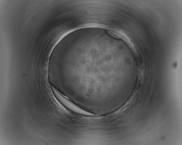 X0000098171244200804241148