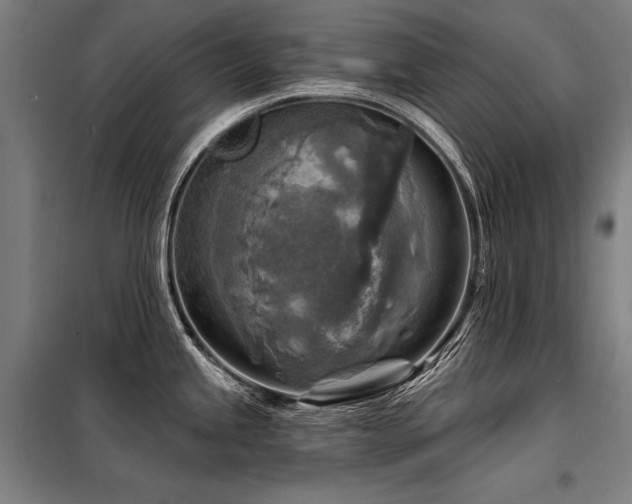 X0000098171245200804241148