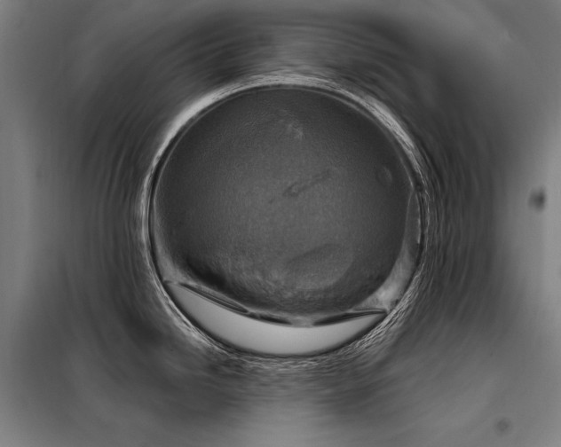 X0000098171246200804241148