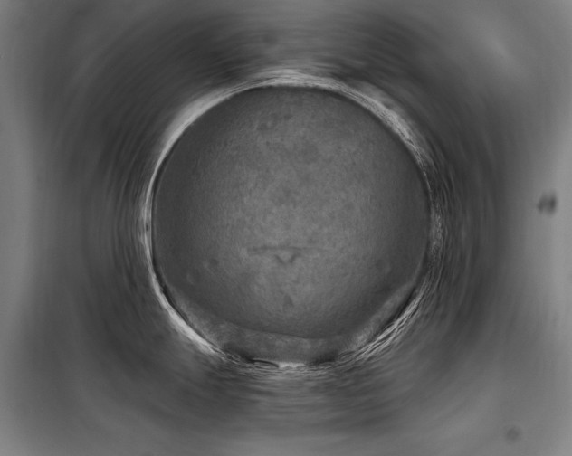 X0000098171247200804241148