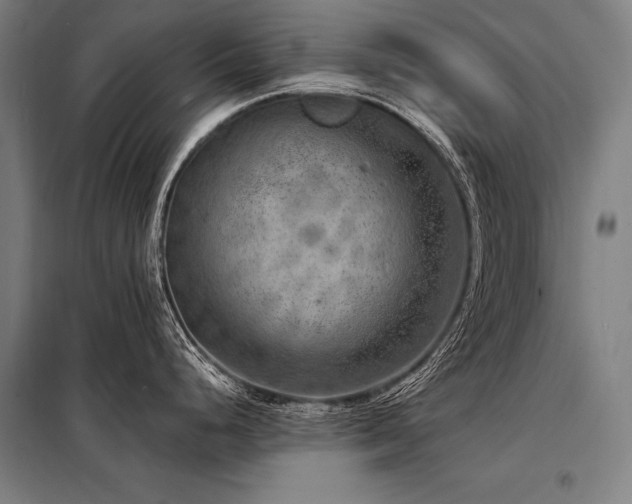 X0000098171248200804241148