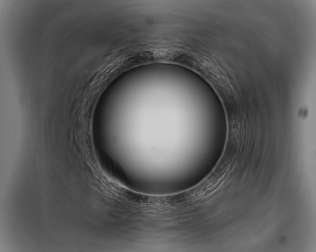 X0000098171249200804241148