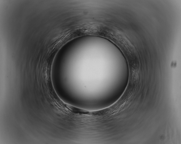 X0000098171250200804241148