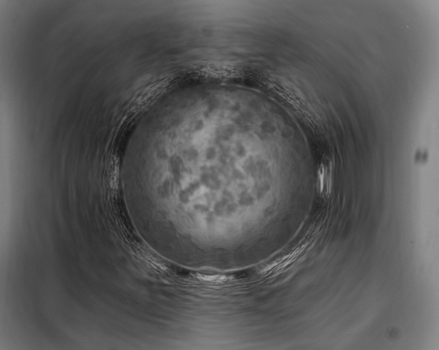 X0000098171251200804241148