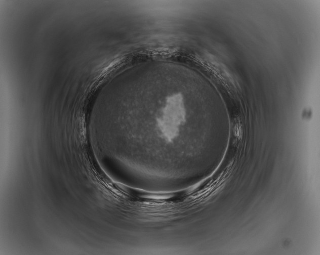 X0000098171252200804241148