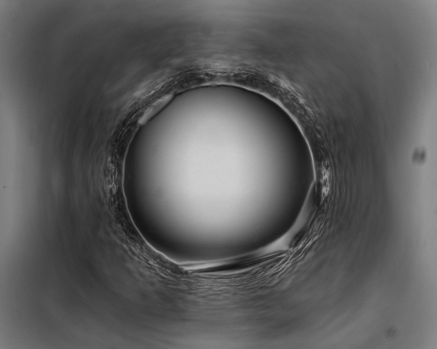 X0000098171253200804241148
