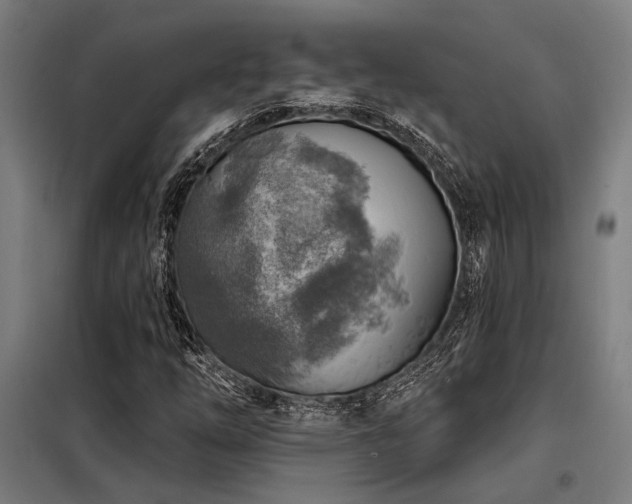 X0000098171254200804241148