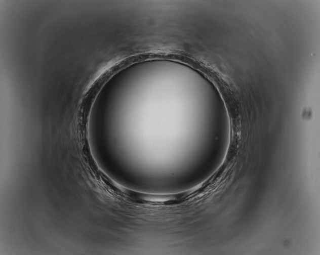 X0000098171256200804241148