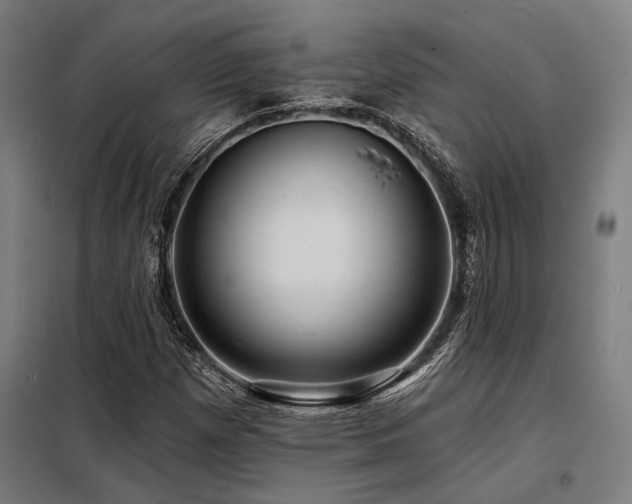 X0000098171257200804241148