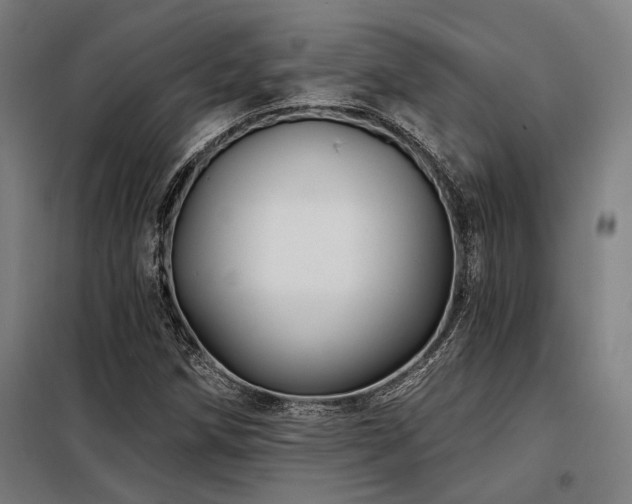 X0000098171258200804241148