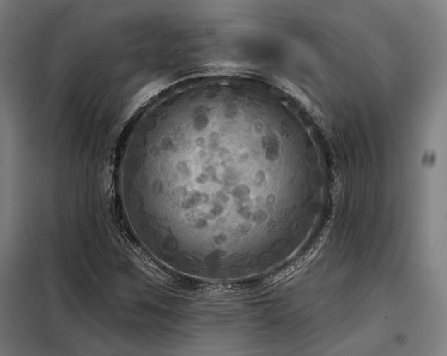 X0000098171259200804241148