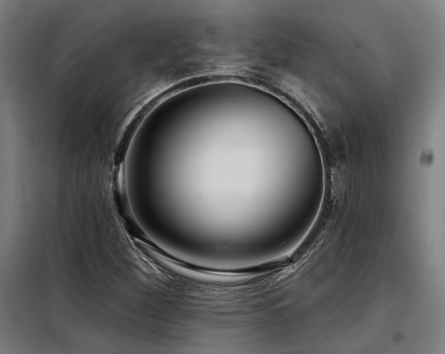 X0000098171260200804241148