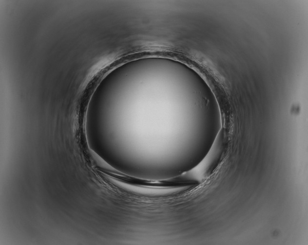 X0000098171261200804241148