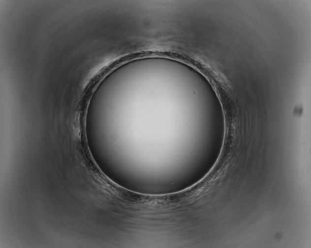 X0000098171262200804241148