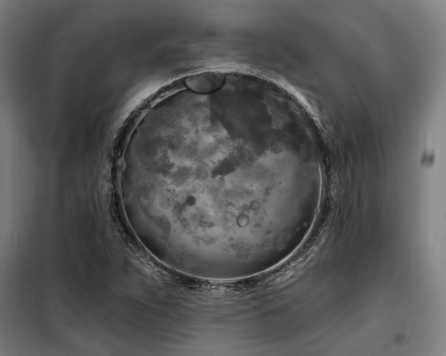X0000098171263200804241148