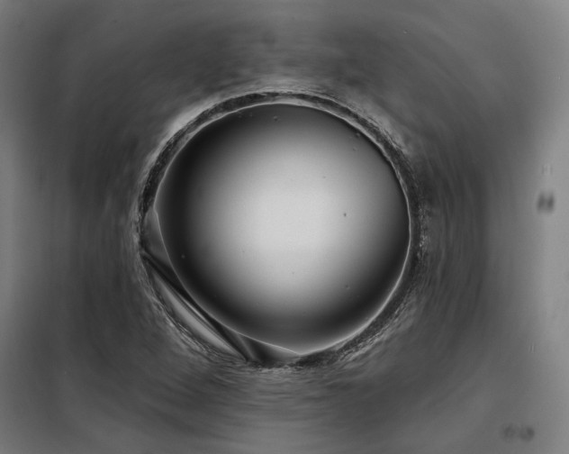 X0000098171264200804241147