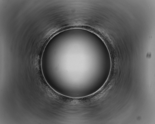 X0000098171265200804241147