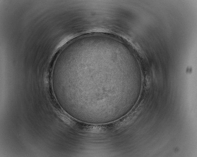 X0000098171266200804241147