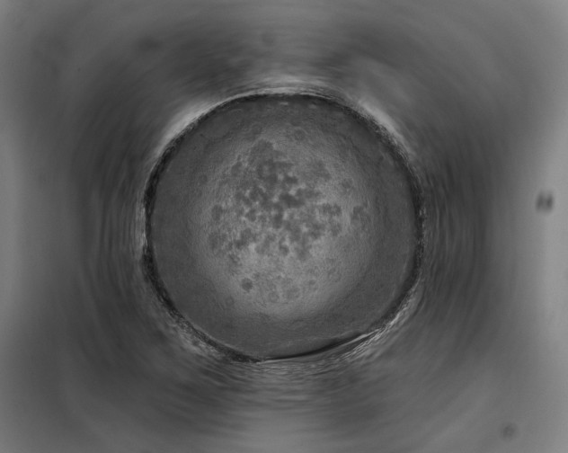 X0000098171267200804241147