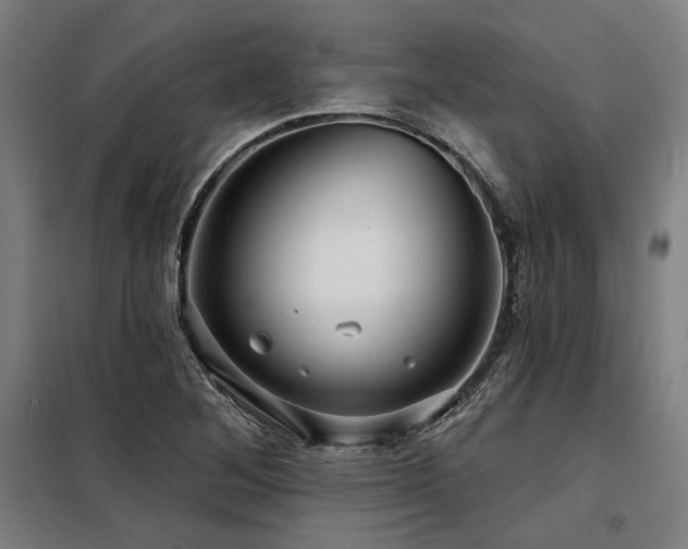 X0000098171268200804241147