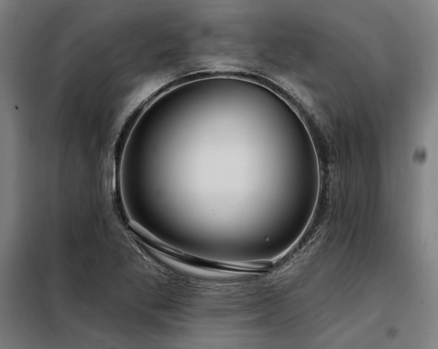X0000098171269200804241147