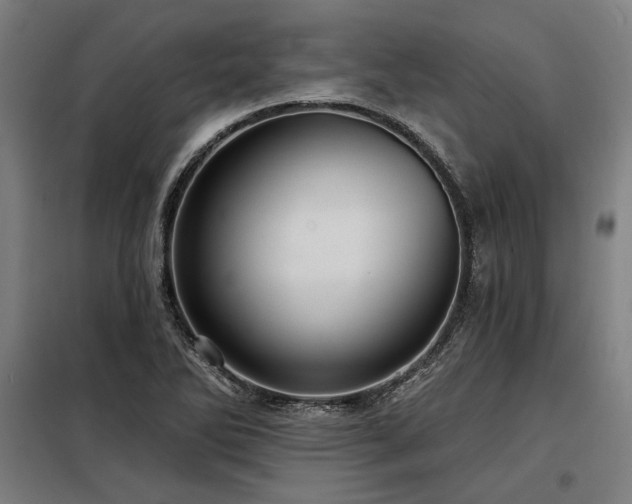 X0000098171270200804241147