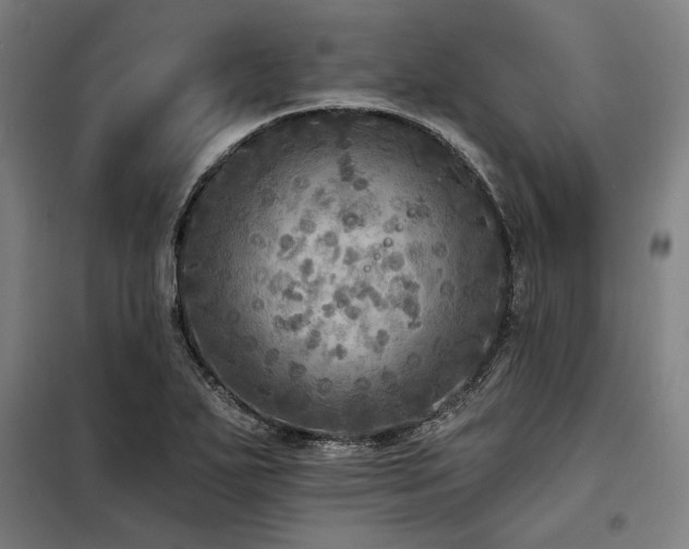 X0000098171271200804241147